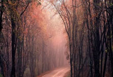 开云:杭州亚残运村开村:所有电梯按钮设盲文、洗手间镜子可倾斜澎湃新闻.