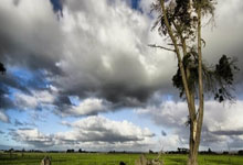 宁忠岩获亚冬会速度滑冰男子1500米金牌环球时报-环球网.