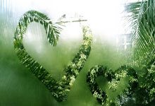 英超：马尔穆什“帽子戏法”曼城队4-0纽卡斯尔联队.