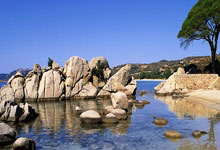 开云：杭州亚残运村开村：所有电梯按钮设盲文、洗手间镜子可倾斜澎湃新闻.